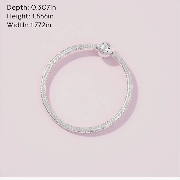 BRAND NEW! Pandora O Ring Carrier 925 Sterling Silver (399576C00) - Picture 4 of 4